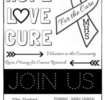 Non-Profit Recruiting Flyer – MHS for the Cure